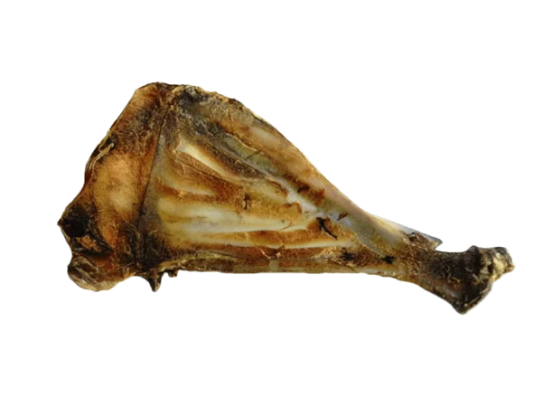 Schulterblatt Hirsch