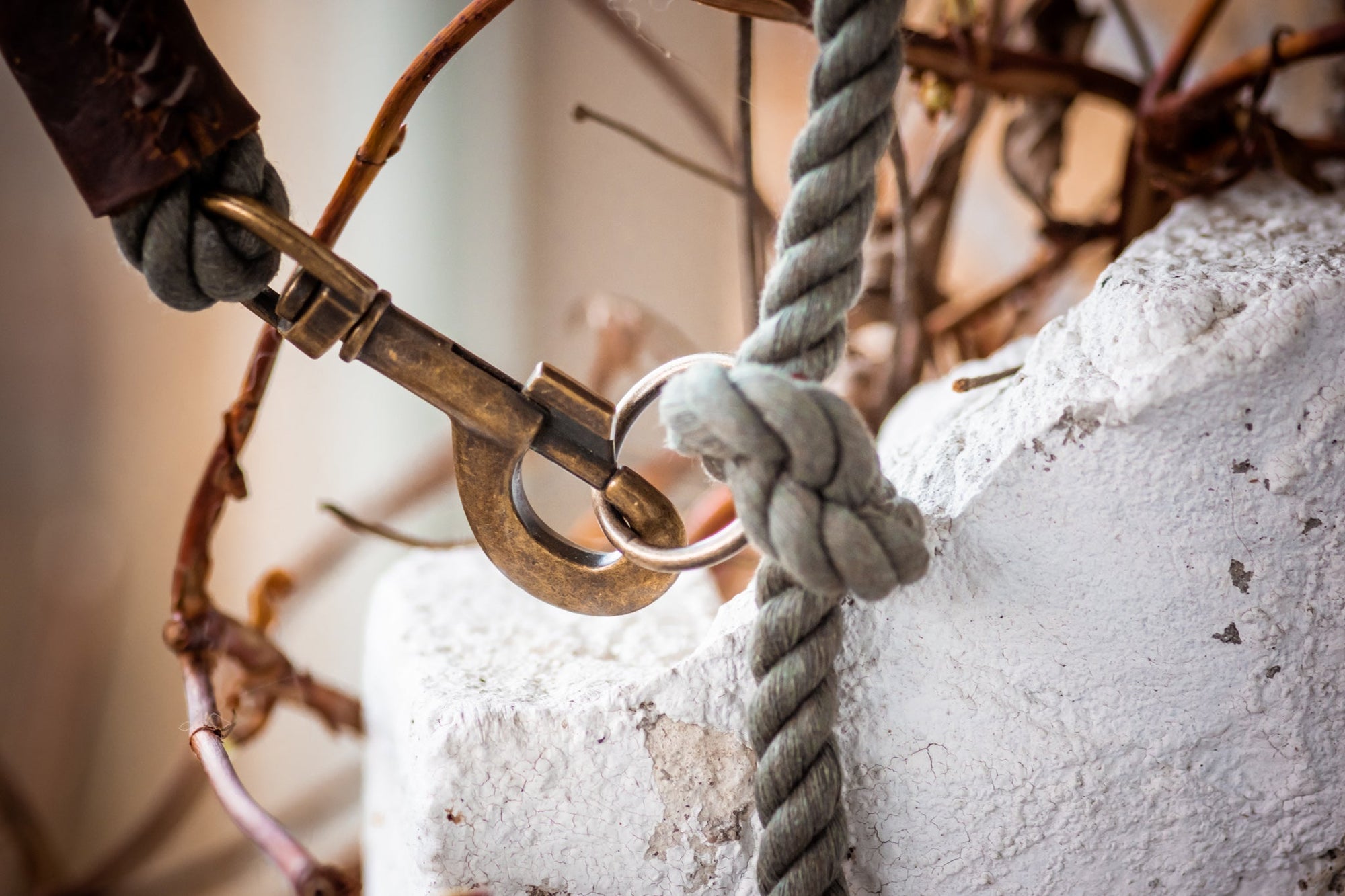 Twisted Cotton Verstelbare Hondenriem - Cooper & Quint