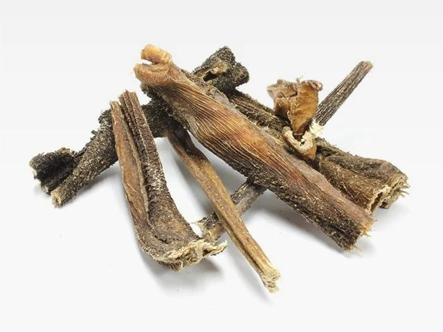 Rinderpansen