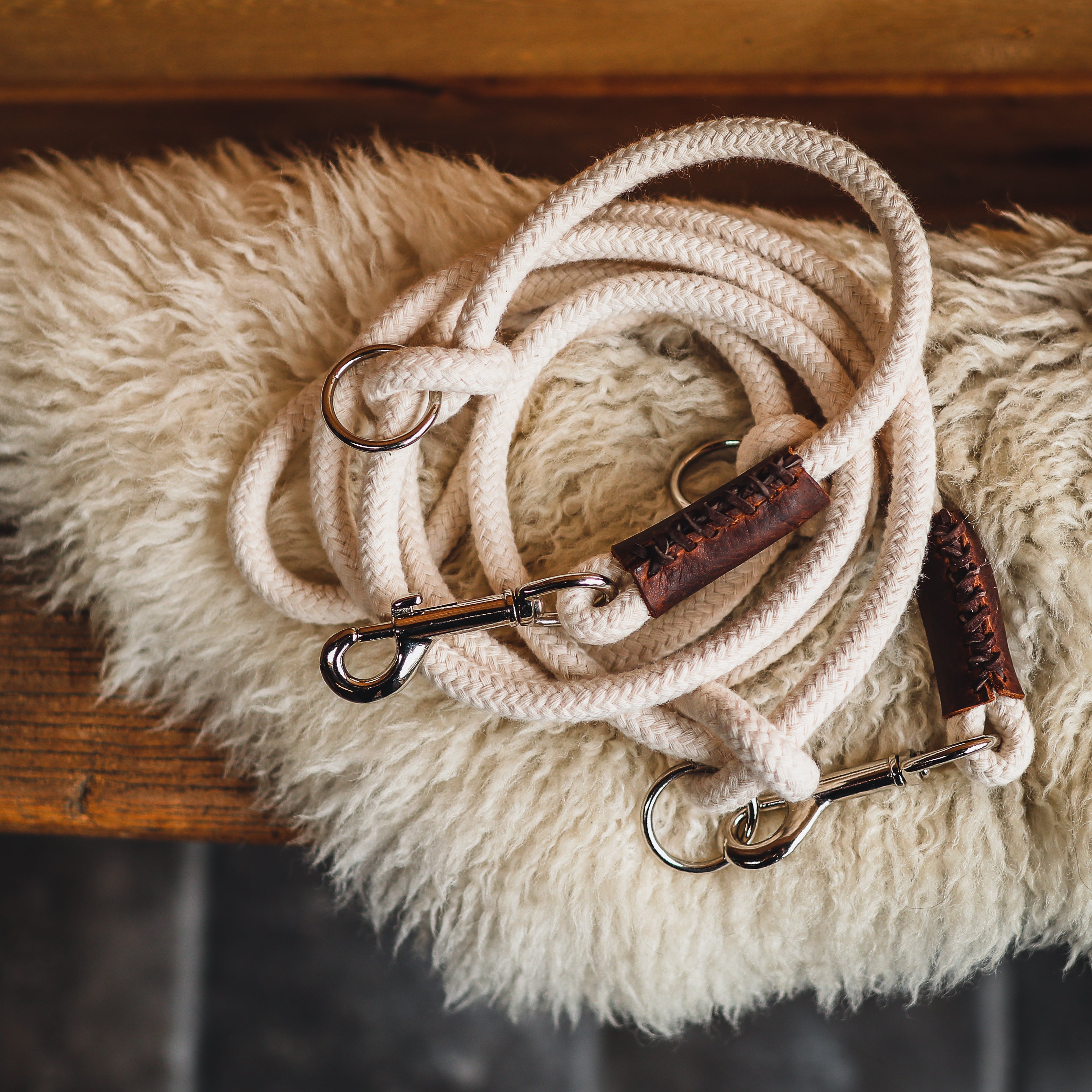 Katoenen hondenriemen