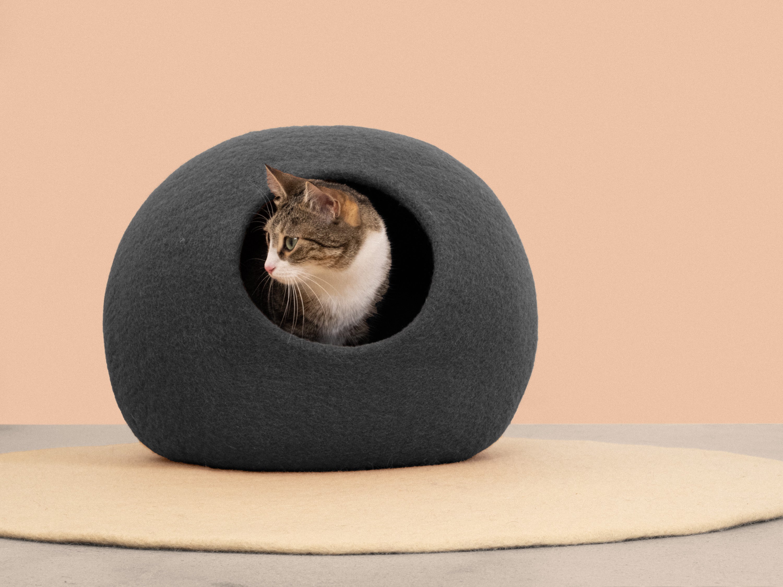 Kattenmanden & Kattengrotten