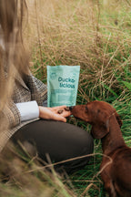 BUDDY Halbkraftfutter für Hunde Ente mit Rosmarin 200 g