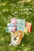 BUDDY Freilandente 2 kg