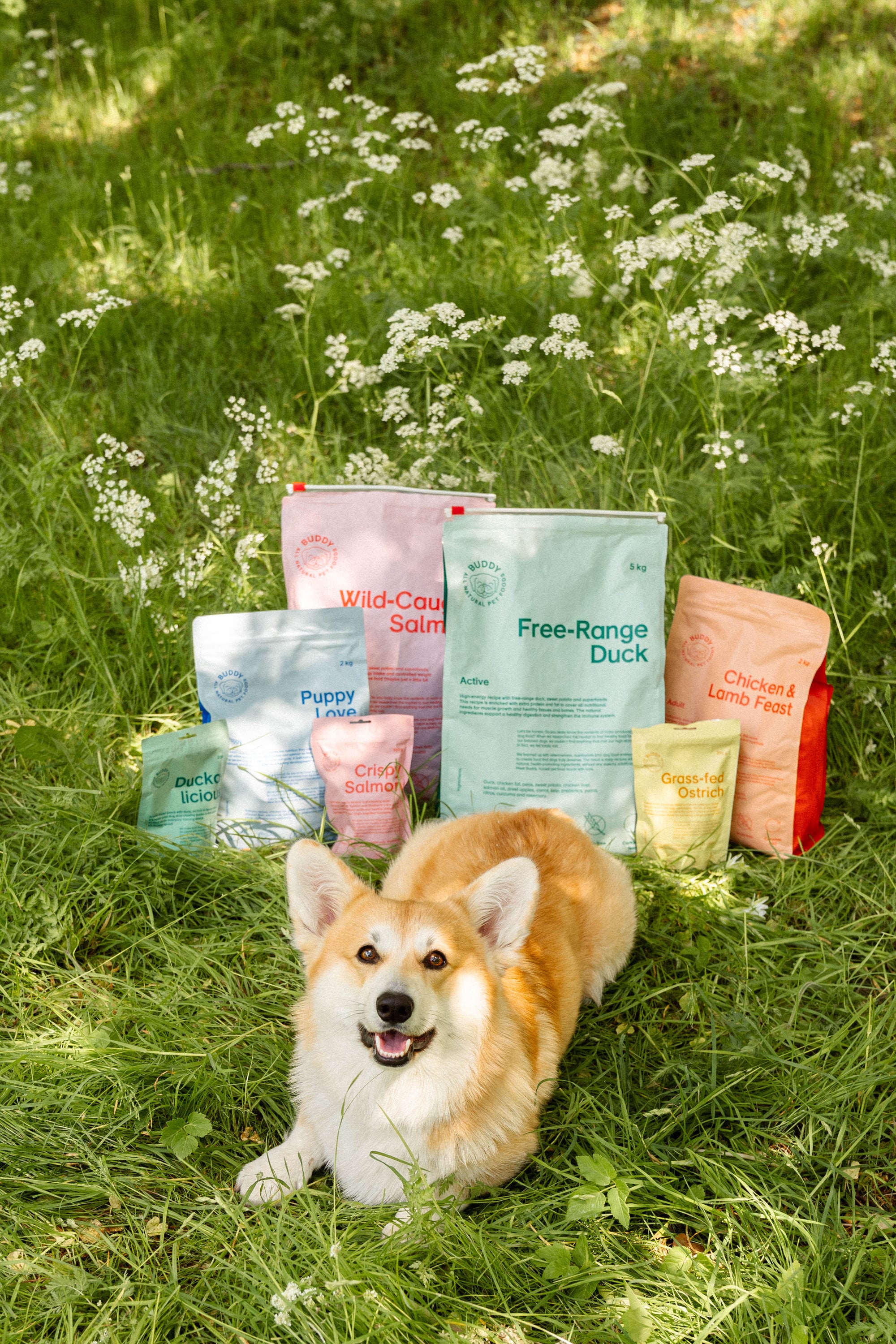 BUDDY Freilandente 2 kg