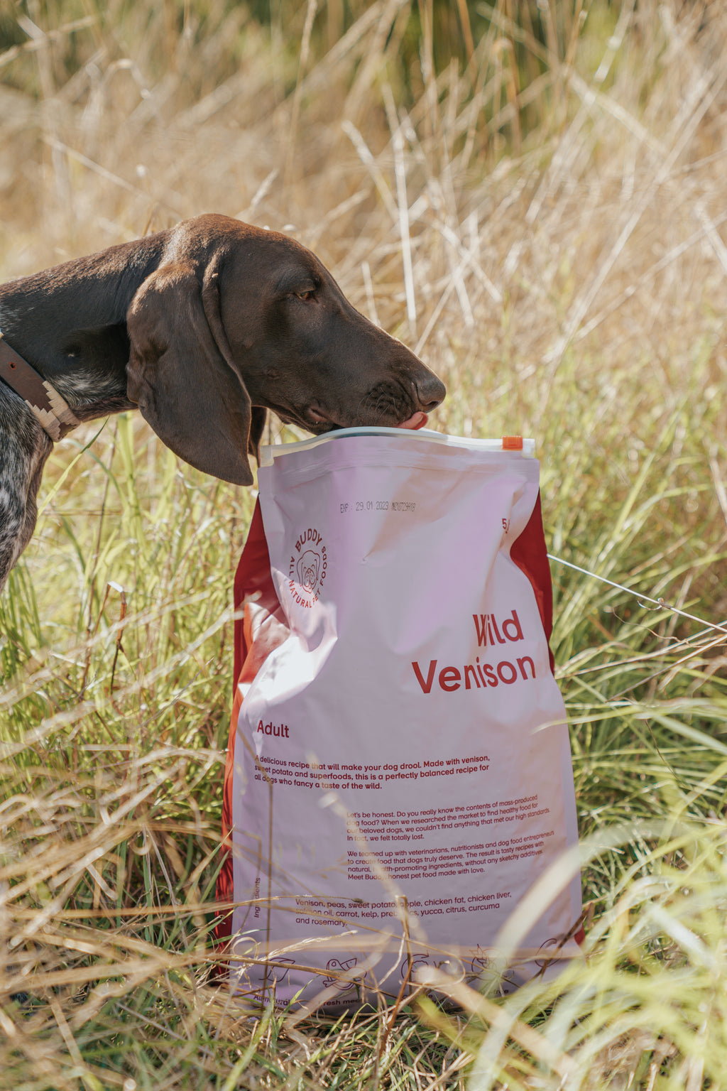 BUDDY Wild Wildfleisch 2 kg