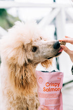 BUDDY Crunchy Hundesnack Lachs mit Blaubeeren 150 g.