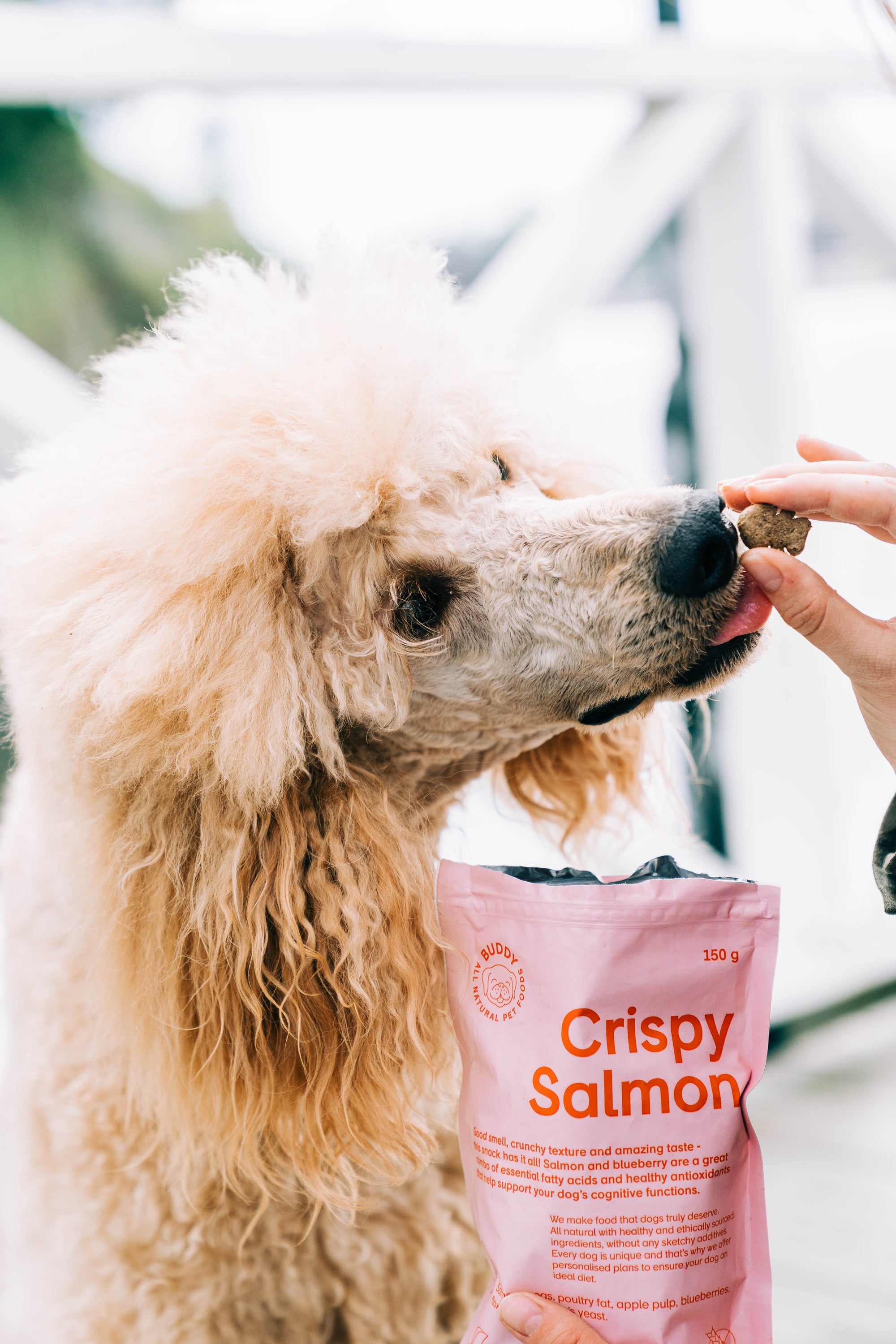 BUDDY Crunchy Hundesnack Lachs mit Blaubeeren 150 g.