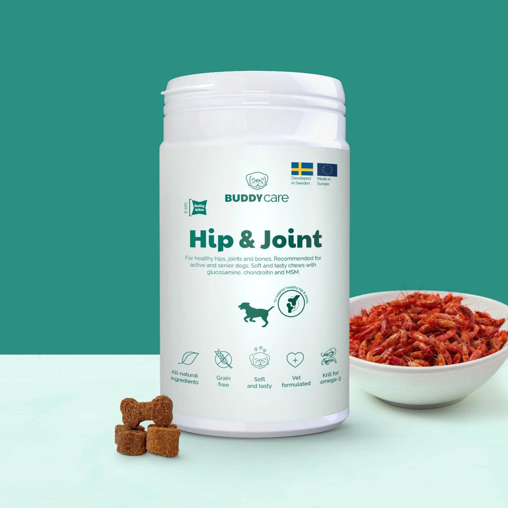 BUDDY Care Hüfte & Gelenk 150 gr.