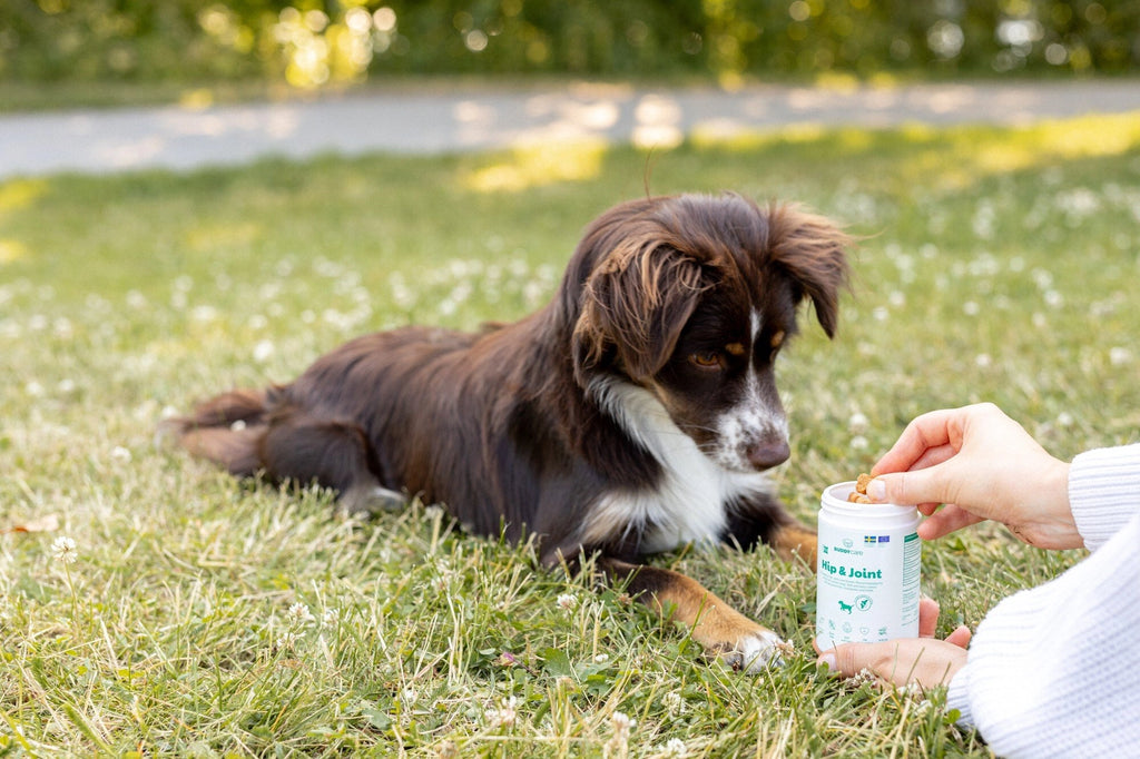 BUDDY Care Hüfte & Gelenk 150 gr.