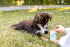 BUDDY Care Hüfte & Gelenk 150 gr.