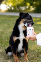 BUDDY Care Probiotikum 150 gr.