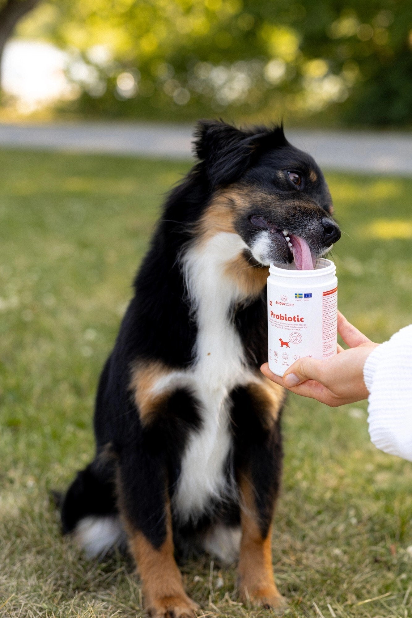 BUDDY Care Probiotikum 150 gr.