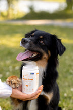 Buddy Care Haut & Fell 150 gr.