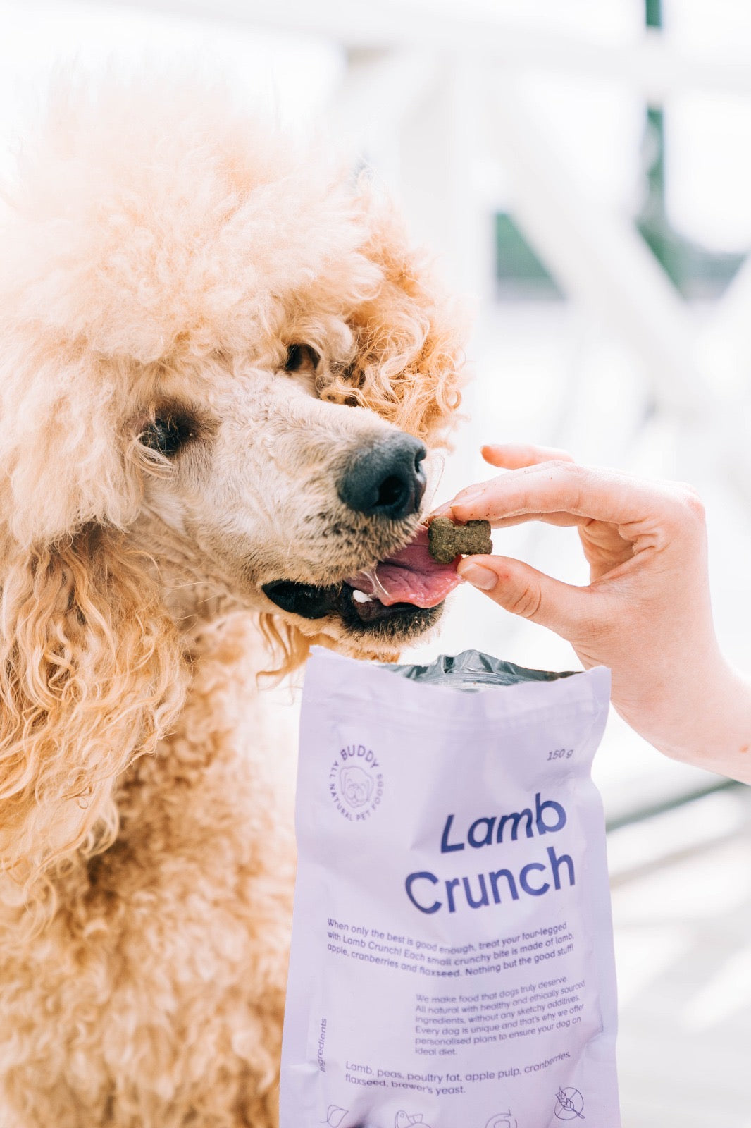 BUDDY Crunchy Hundesnack Lamm mit Cranberrys 150 g