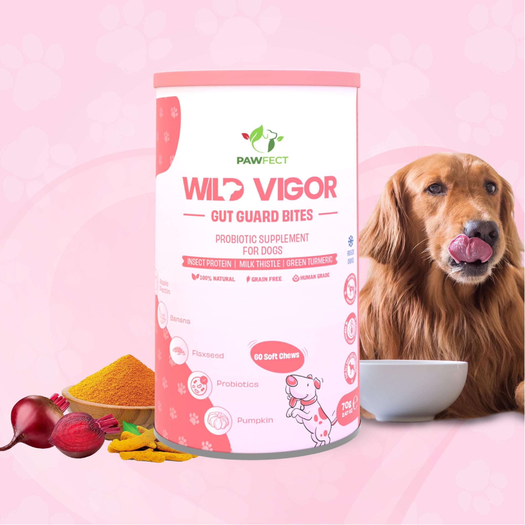 Pawfect supplements Wild Vigor Gut Guard 60 Stk.