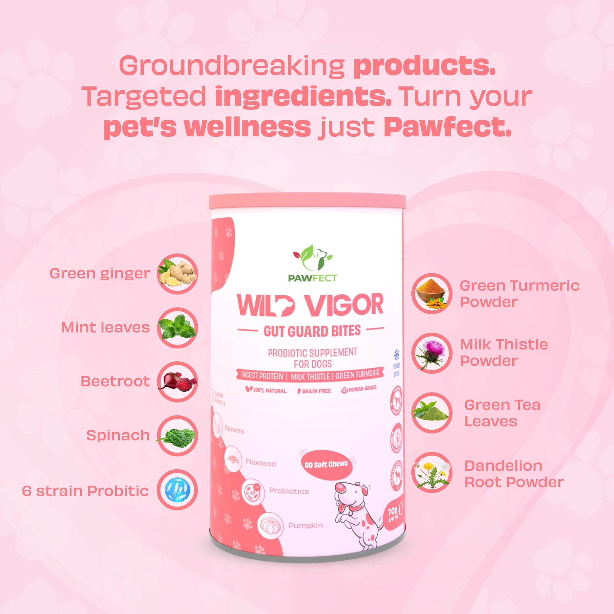 Pawfect supplements Wild Vigor Gut Guard 60 Stk.