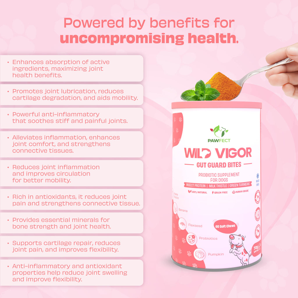 Pawfect supplements Wild Vigor Gut Guard 60 Stk.