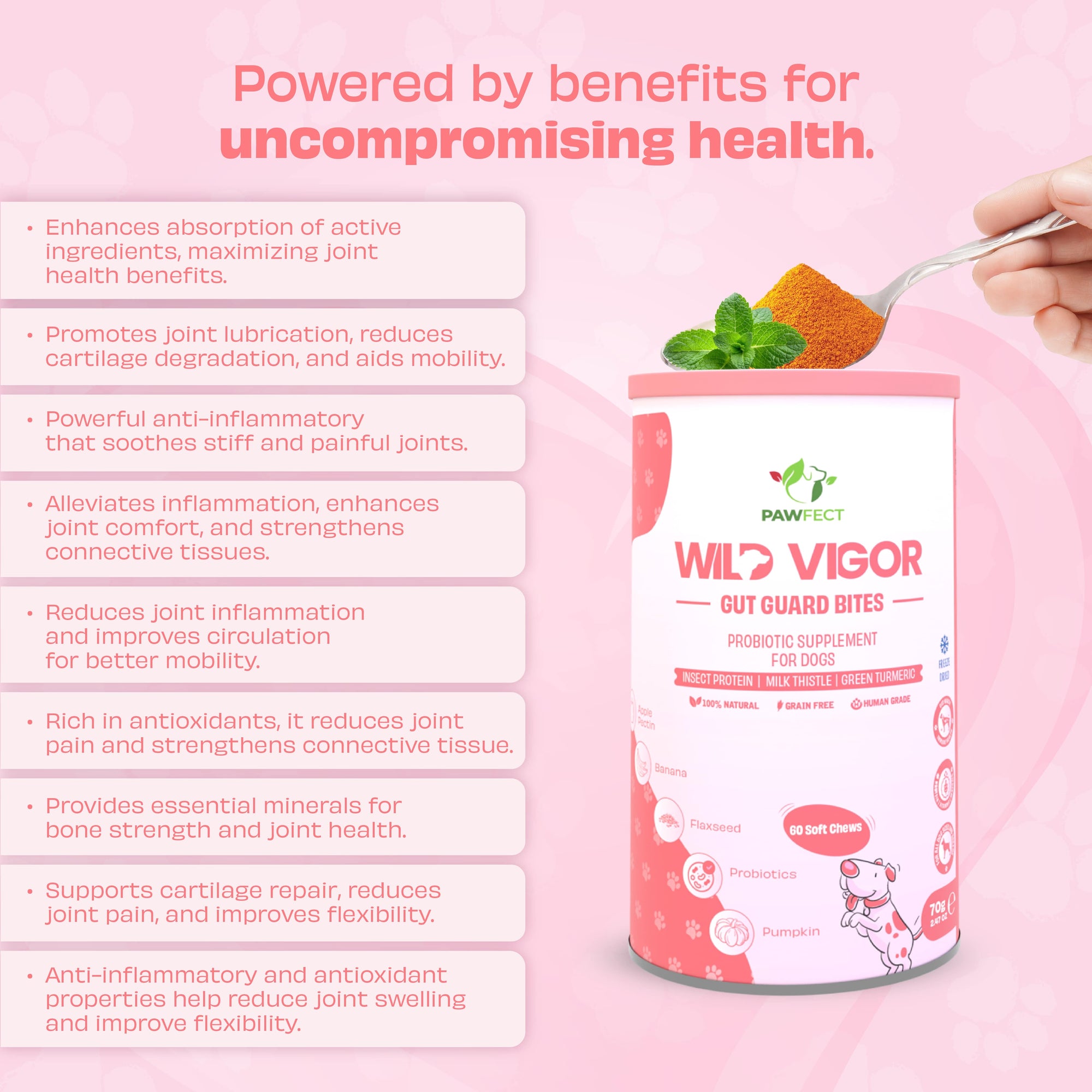 Pawfect supplements Wild Vigor Gut Guard 60 Stk.