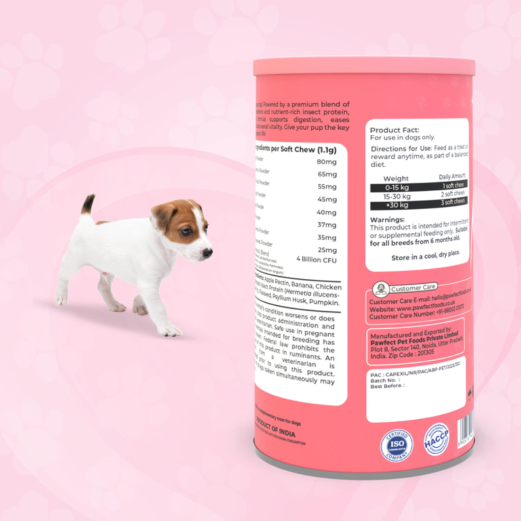 Pawfect supplements Wild Vigor Gut Guard 60 Stk.