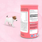 Pawfect supplements Wild Vigor Gut Guard 60 Stk.