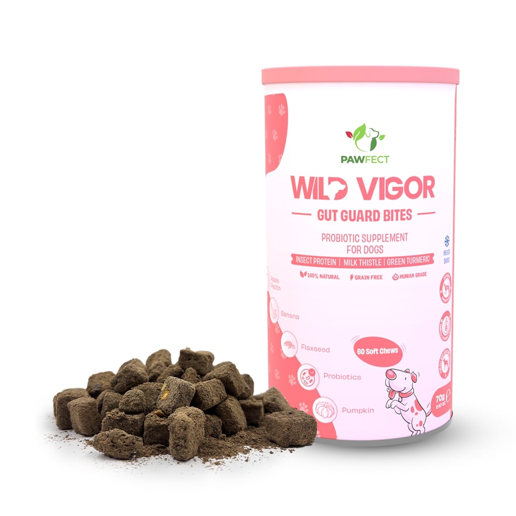 Pawfect supplements Wild Vigor Gut Guard 60 Stk.