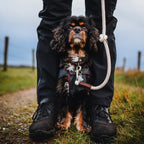 Verstellbare Hundeleine | Seil | Ecru | Für kleine Hunde | Just Cotton 8 mm