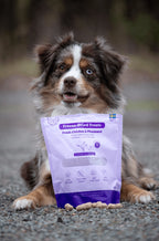 BUDDY Gefriergetrockneter Hundesnack Huhn & Fasan 100 g