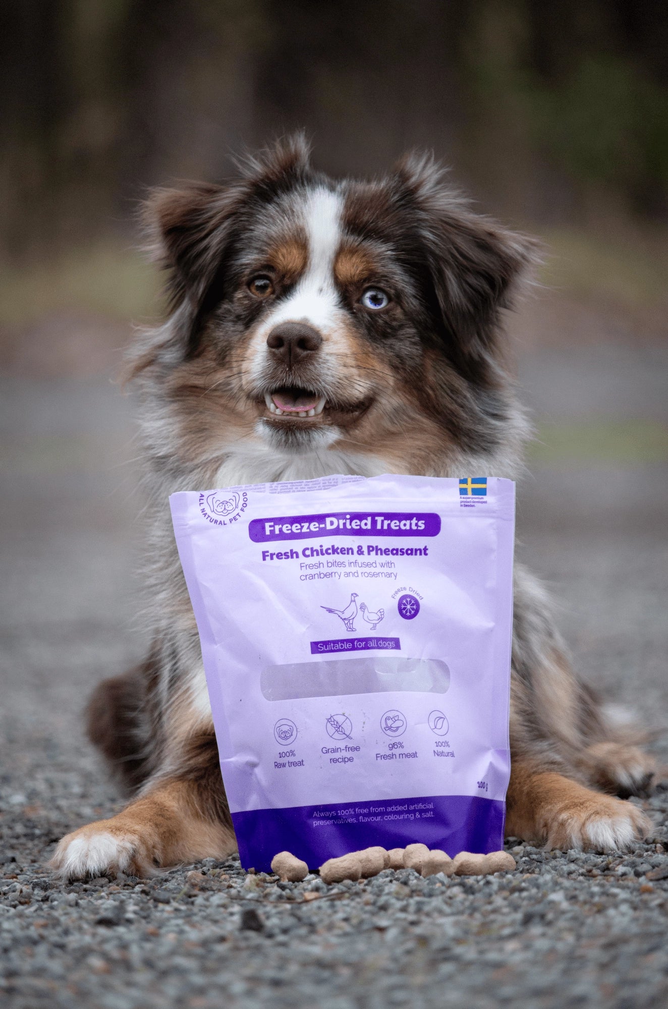 BUDDY Gefriergetrockneter Hundesnack Huhn & Fasan 100 g
