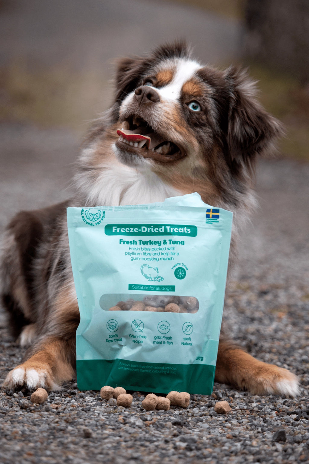BUDDY Gefriergetrockneter Hundesnack Pute & Thunfisch 100 g.