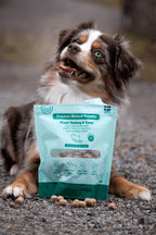 BUDDY Gefriergetrockneter Hundesnack Pute & Thunfisch 100 g.