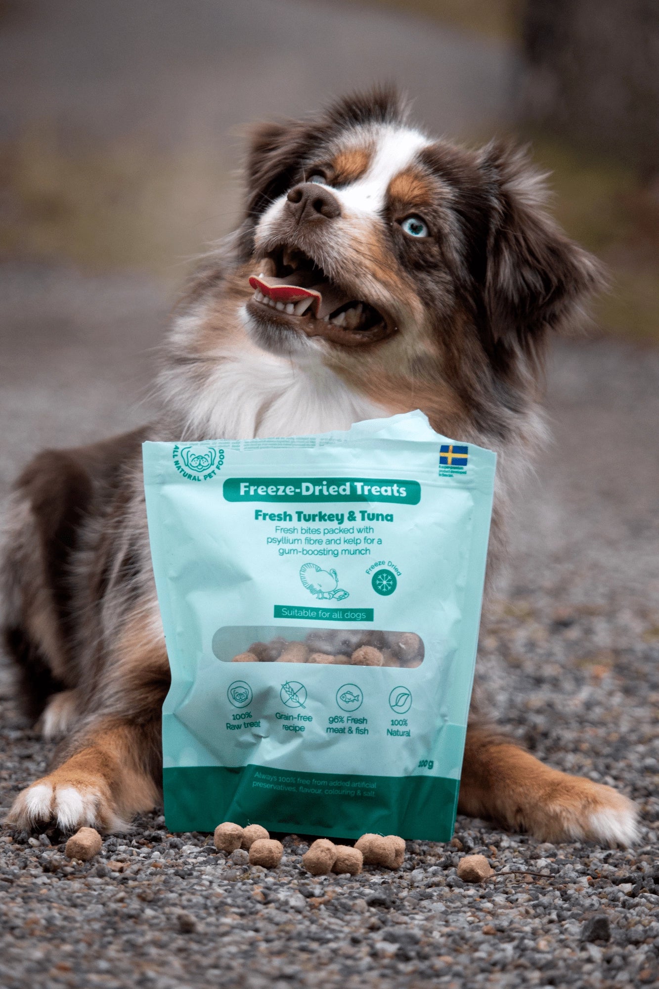 BUDDY Gefriergetrockneter Hundesnack Pute & Thunfisch 100 g.