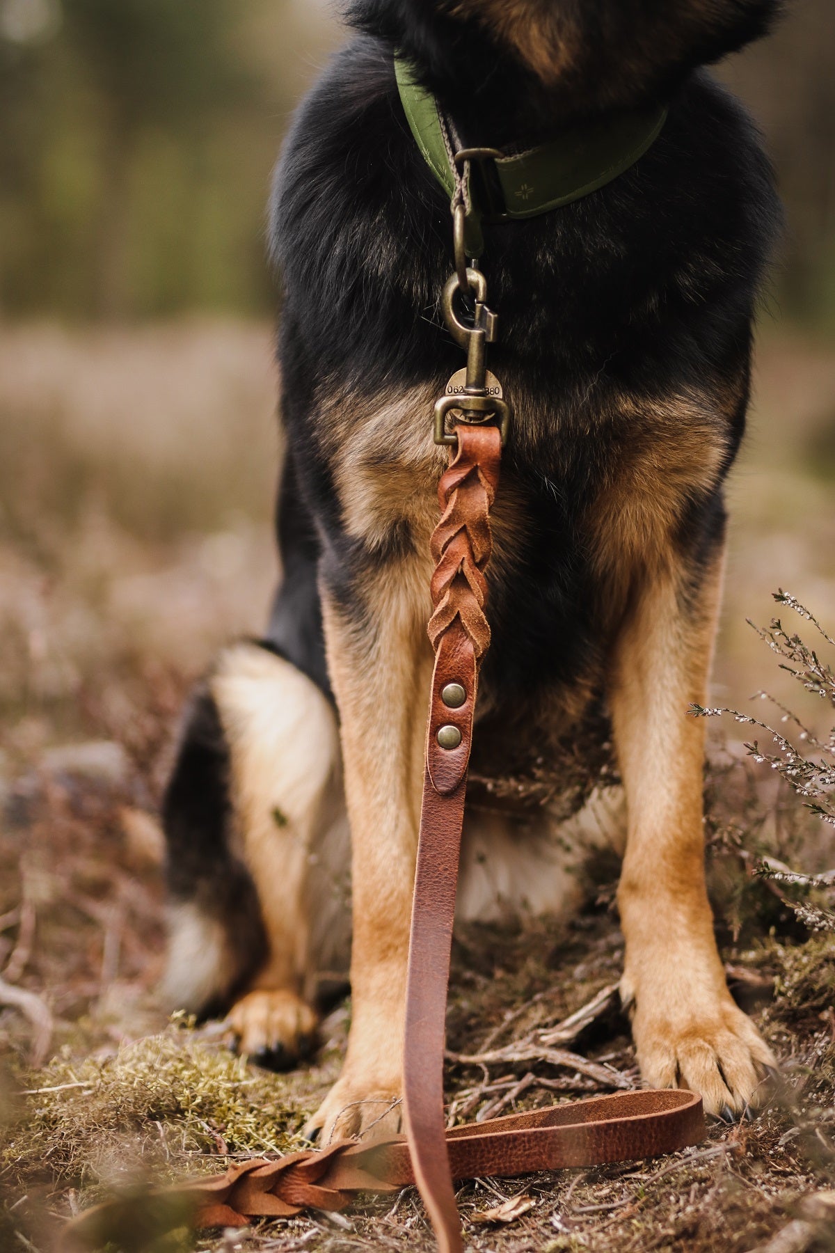 Twisted Hondenriem Bruin - Cooper & Quint