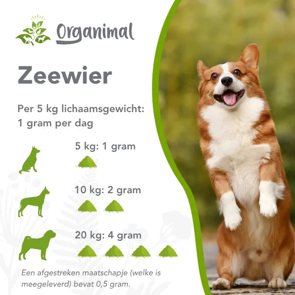 Organimal Seaweed – Dogs