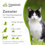 Organimal Seetang – Katzen