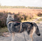 DRIFT | Leren Sleeplijn