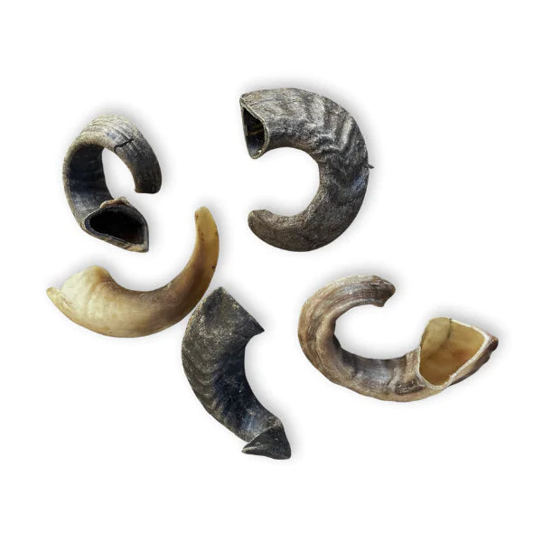 Widderhorn