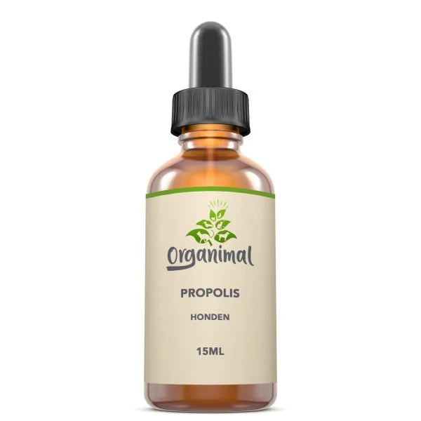 Organimal Propolis – Hunde