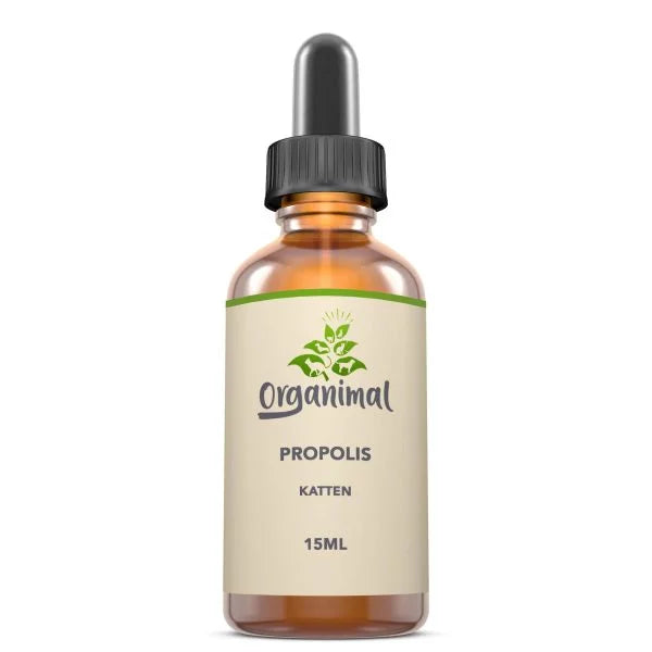 Organimal Propolis – Katzen