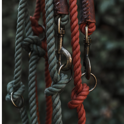 Twisted Cotton Verstelbare Hondenriem Bosgroen - Cooper & Quint