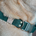 Simply Hemp Halsband Hond | Bosgroen - Cooper & Quint