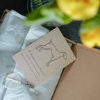 Simply Hemp Halsband Hond | Schelpenwit - Cooper & Quint