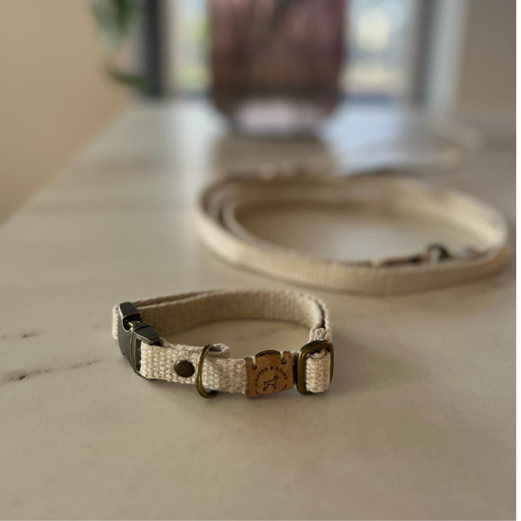 Simply Hemp Halsband Hond | Schelpenwit - Cooper & Quint