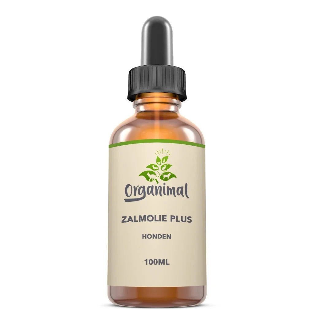 Organimal Lachsöl Plus – Hunde