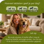 Intestines in Balance – Dogs