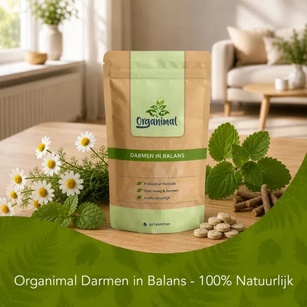 Intestines in Balance – Dogs