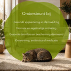 Darm im Gleichgewicht – Katzen