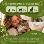 Verhalten im Gleichgewicht – Katzen