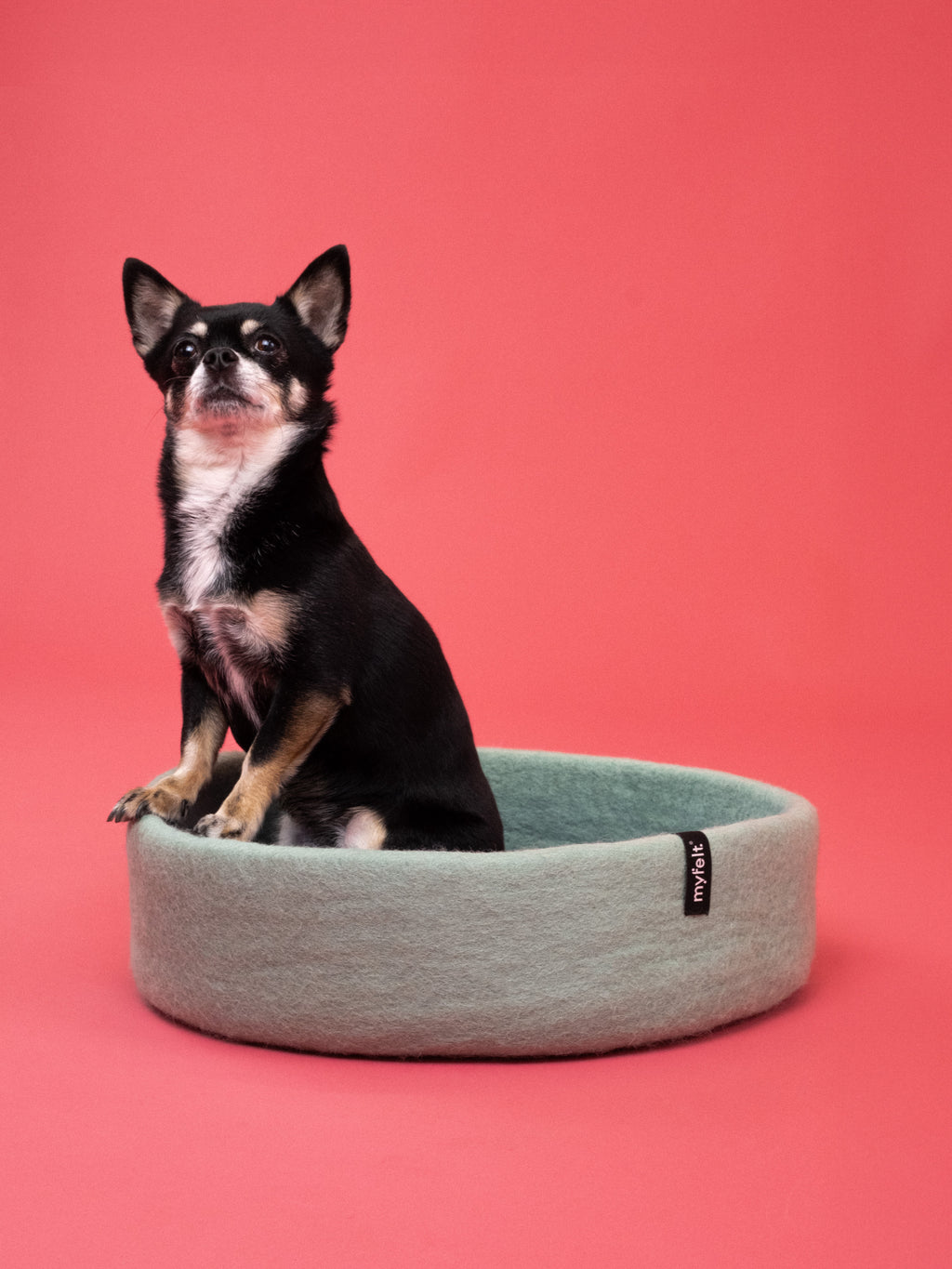 Schöner Hundekorb