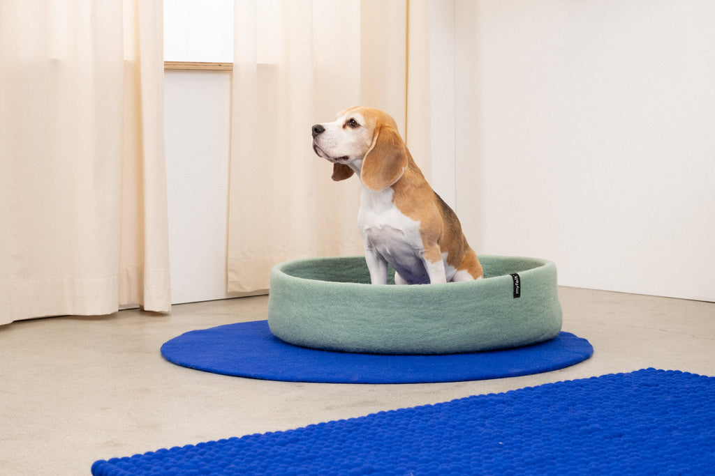 Schöner Hundekorb