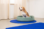 Schöner Hundekorb